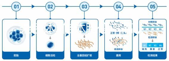 染色體3倍體胎停率高，治療首選三代試管
