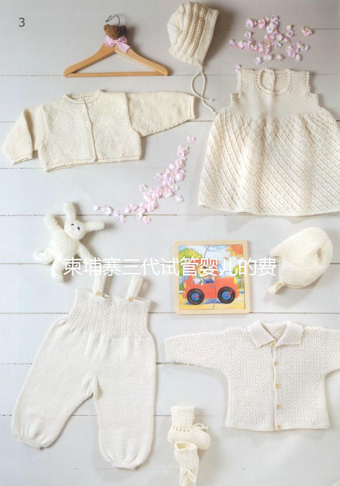 柬埔寨三代試管嬰兒的費(fèi)用、成功率、流程一文說(shuō)明！