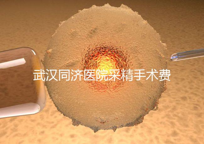 武漢同濟(jì)醫(yī)院采精手術(shù)費(fèi)用分析，顯微采精也可報(bào)銷