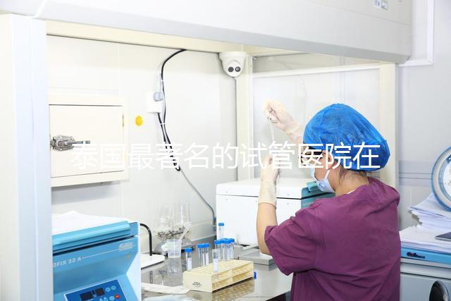 泰國(guó)最著名的試管醫(yī)院在哪里最好？推薦助孕機(jī)構(gòu)名單