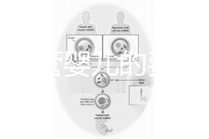泰國試管嬰兒的費用(泰國試管嬰兒的費用是多少?)