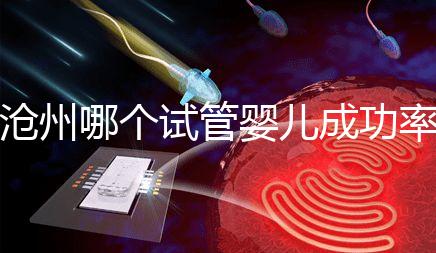 滄州哪個試管嬰兒成功率高？2024年河北生殖中心醫院排名公布