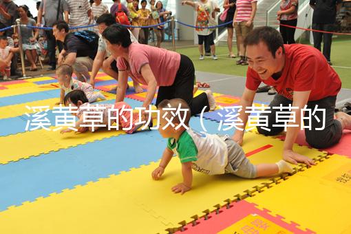 溪黃草的功效（溪黃草的功效與作用）