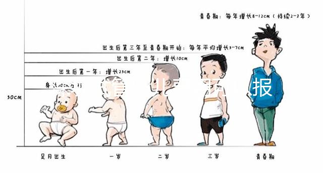 深圳試管嬰兒費用可以報銷嗎？