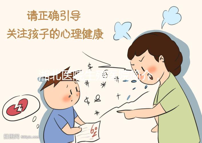 湘北醫(yī)院生殖醫(yī)院簡介，費用明細、成功率參考