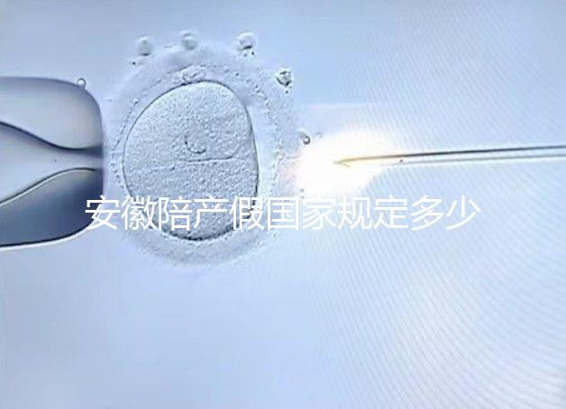 安徽陪產假國家規定多少天更新，2024淮南何時開始執行戳