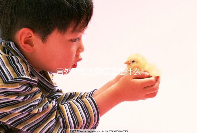 宮外孕的主要原因是什么？