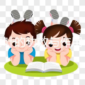 大青葉的功效與作用（大青葉對(duì)女性的好處）