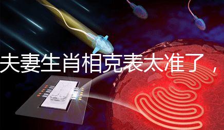 夫妻生肖相克表太準(zhǔn)了，丑牛和午馬結(jié)合真犯“沖”