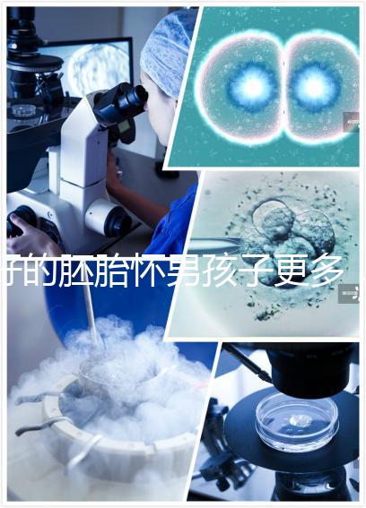 好的胚胎懷男孩子更多，驚呀！什么時(shí)候質(zhì)量決定性別了