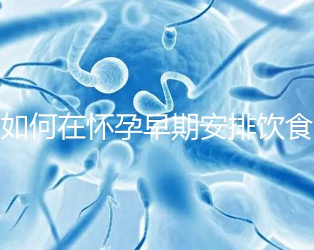 如何在懷孕早期安排飲食？