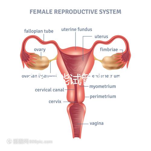 得了腎病能試管嬰兒懷孕嗎？哪些腎臟病不適宜懷孕？