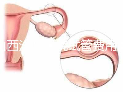 山西汾陽醫院試管費用清單公布，2024年生殖科助孕成功率公布