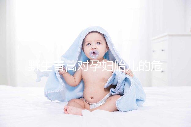 野生青蒿對孕婦胎兒的危害多，能否泡腳、洗澡看這里