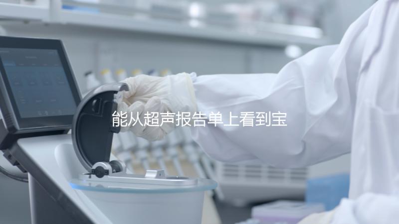 能從超聲報告單上看到寶寶的性別嗎？