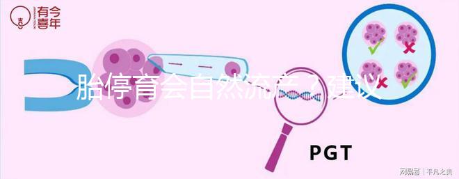 胎停育會(huì)自然流產(chǎn)？建議別等!有殘留,只會(huì)對(duì)母體造成更大危害