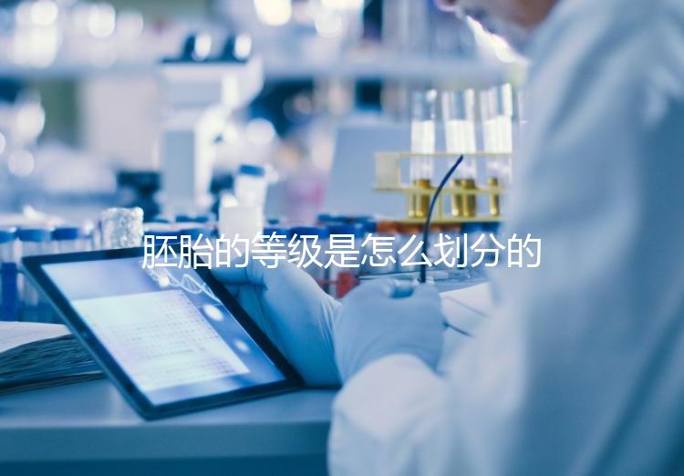 胚胎的等級是怎么劃分的？詳解3天胚胎與5天囊胚的評估標準