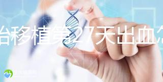 胚胎移植第27天出血怎么辦?6大常見(jiàn)原因見(jiàn)招拆招