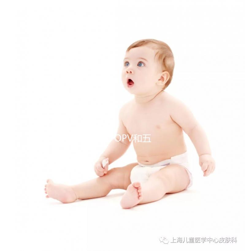 脊灰IPV、OPV和五聯疫苗對比，選擇哪種參考這4個方案