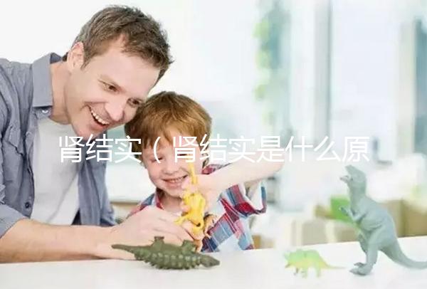 腎結實（腎結實是什么原因引起的）
