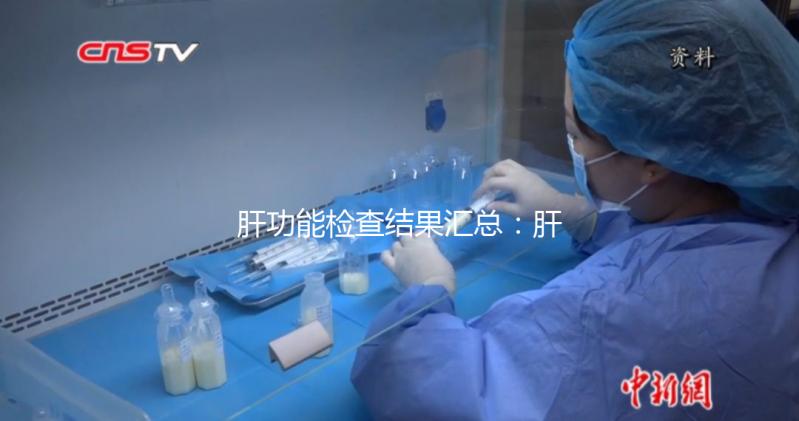 肝功能檢查結果匯總：肝損傷只是其中一項