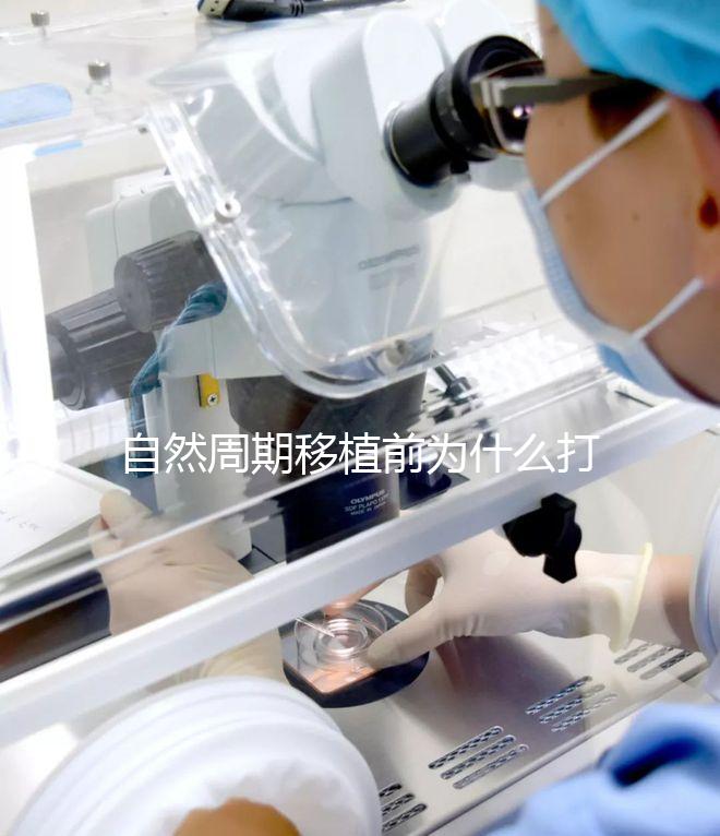 自然周期移植前為什么打絨促？作用不僅是提升妊娠率