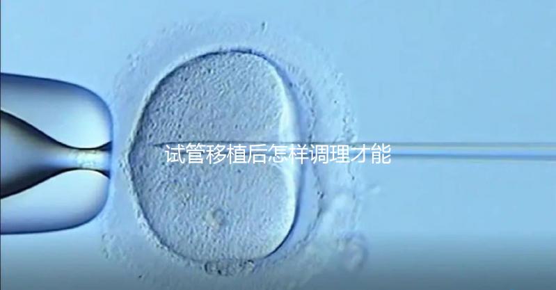 試管移植后怎樣調理才能增加胚胎著床的幾率？