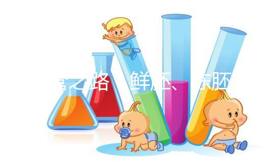 試管之路：鮮胚、凍胚、桑椹胚、囊胚，選擇哪種成功率更高？