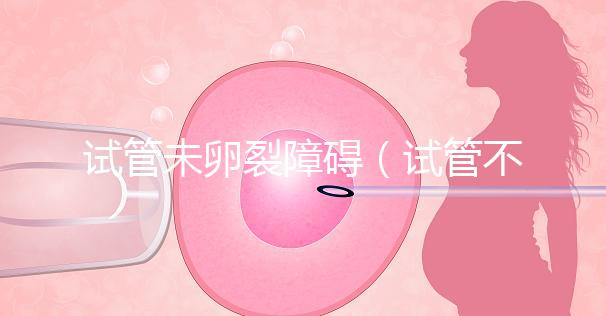 試管未卵裂障礙（試管不卵裂）