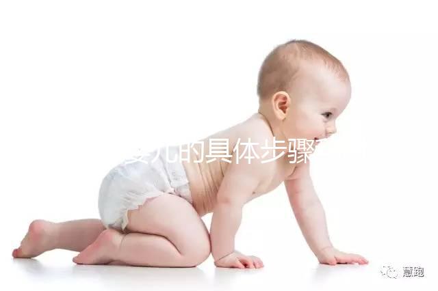 試管嬰兒的具體步驟和時間安排（試管嬰兒的具體步驟和時間安排是什么）