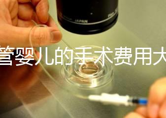 試管嬰兒的手術費用大概是多少？