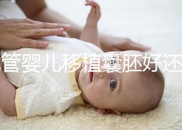 試管嬰兒移植囊胚好還是胚胎好，一文分析