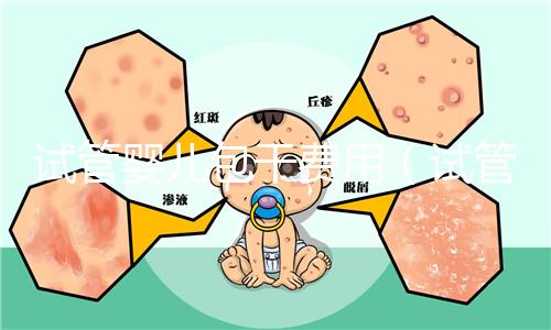 試管嬰兒包干費用（試管嬰兒包干費用多少）