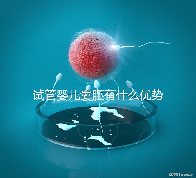試管嬰兒囊胚有什么優勢嗎？