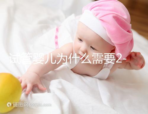 試管嬰兒為什么需要2-3個(gè)月？揭秘時(shí)間背后的科學(xué)奧秘