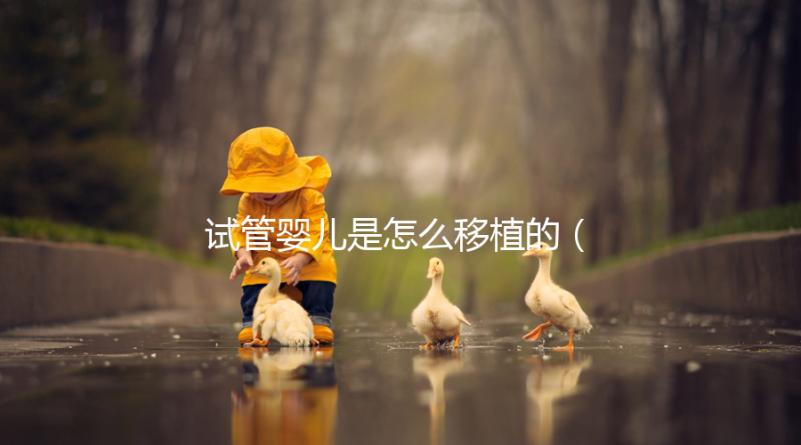 試管嬰兒是怎么移植的（試管嬰兒是怎么移植的？）