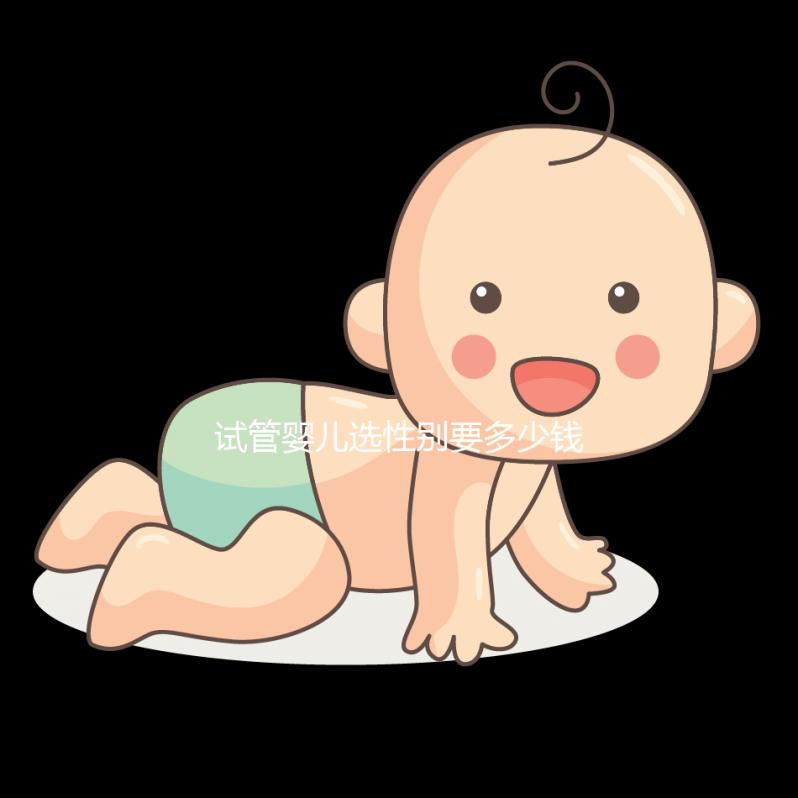 試管嬰兒選性別要多少錢費用（試管嬰兒選性別要多少錢費用呢）