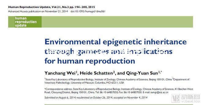 試管嬰兒需多少費用？省錢攻略建議收藏！