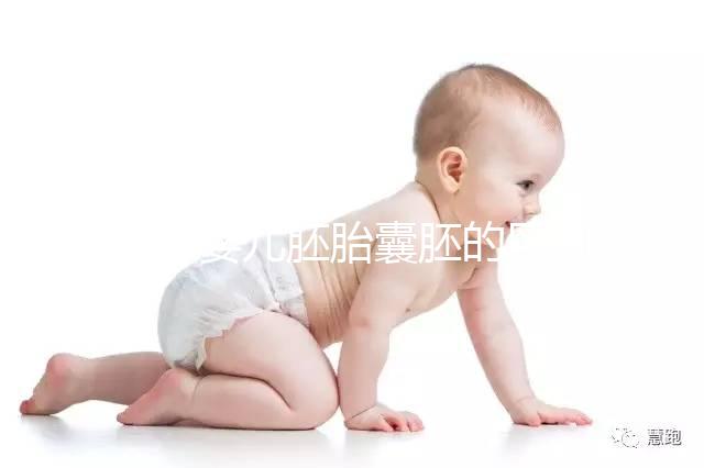 試管嬰兒胚胎囊胚的區別，成功率哪個高