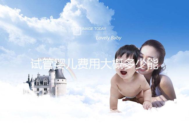 試管嬰兒費用大概多少能報銷醫(yī)保（試管嬰兒費用大概多少能報銷醫(yī)保啊）