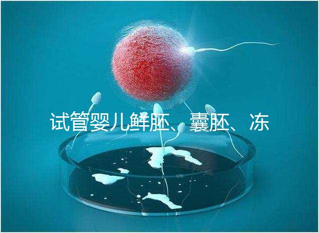 試管嬰兒鮮胚、囊胚、凍胚那個(gè)成功率高？