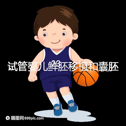 試管嬰兒鮮胚移植和囊胚移植的區(qū)別！哪個(gè)成功率高看完便知曉