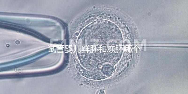 試管嬰兒鮮胚和凍胚哪個好（試管嬰兒鮮胚和凍胚哪個好一點）