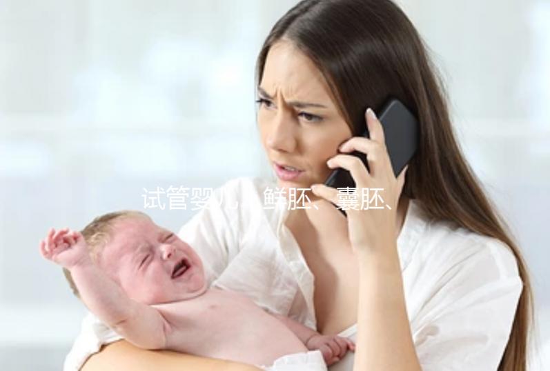 試管嬰兒｜鮮胚、囊胚、凍胚如何選擇？移植前后注意事項