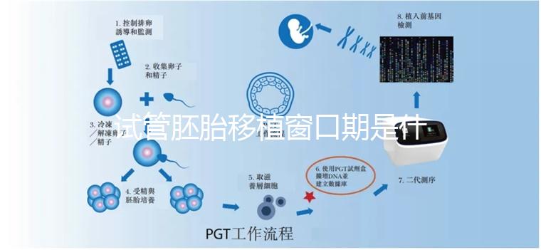 試管胚胎移植窗口期是什么？如何選對(duì)時(shí)機(jī)？