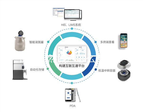 試管自然流產怎么辦呀（試管移植胚胎發育不好會自己流掉嗎）