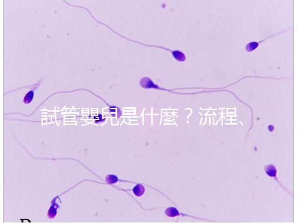 試管嬰兒是什麼？流程、費用、補助及人工受孕差異全解析！
