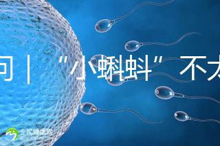 追問｜“小蝌蚪”不太給力，一代二代試管嬰兒技術哪個強？