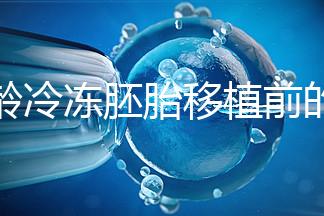 高齡冷凍胚胎移植前的注意事項和禁忌可以清楚地分類嗎？