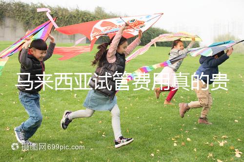 馬來西亞試管費用真的貴么？同善醫院價格說明